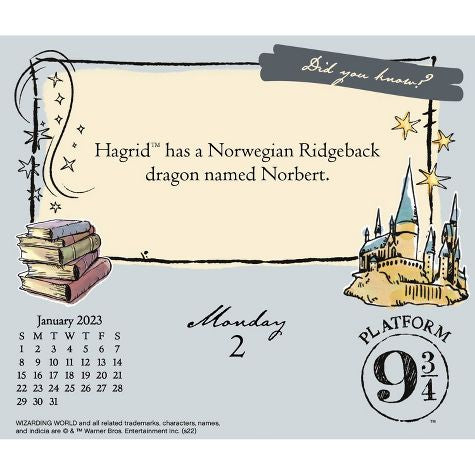 New!! 2023 Harry Potter Day-at-a-Time Box Calendar - Trends International