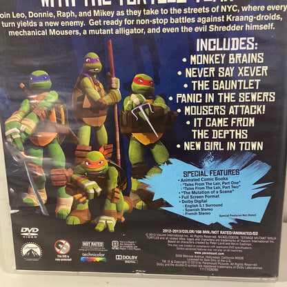 TMNT DVD Enter Shreder