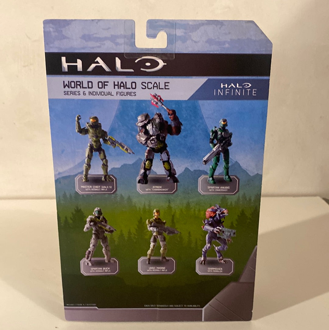 HALO Spartan Buck Action Figure Series 6